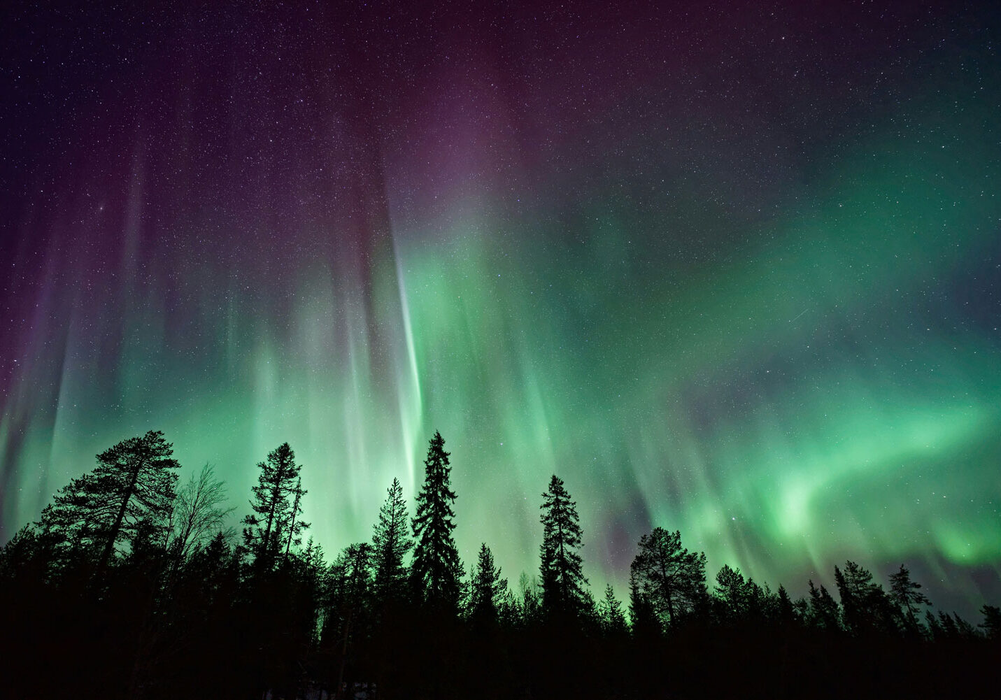 aurora