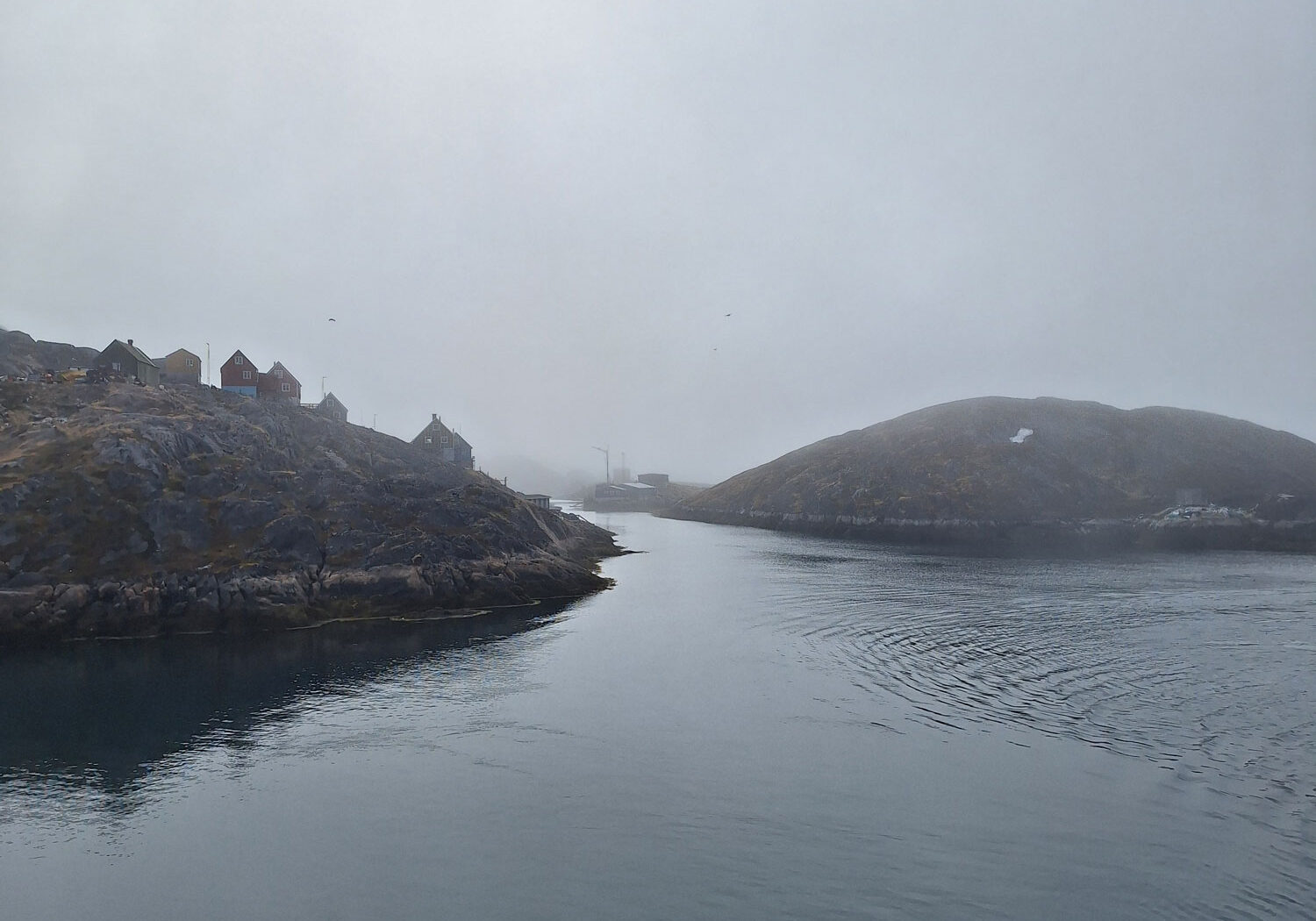 grønland_kyst_tåge